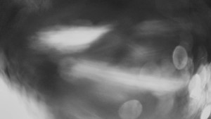 Horské atrakce Ramzová - Horní část sjezdovky Skiareálu Ramzová - 14.2.2026 v 19:30