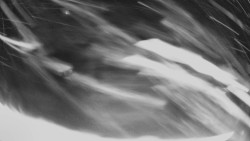 Horní část sjezdovky Skiareálu Ramzová