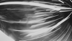 Horní část sjezdovky Skiareálu Ramzová