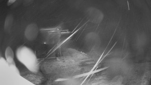 Horské atrakce Ramzová - Horní část sjezdovky Skiareálu Ramzová - 21.3.2026 v 04:00