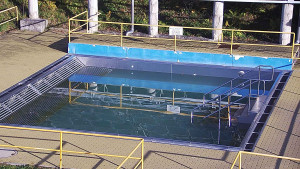 Koupaliště Rusava - Whirlpool koupaliště Rusava - 9.11.2023 v 09:00
