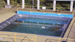 Koupaliště Rusava - Whirlpool koupaliště Rusava - 9.11.2023 v 10:00