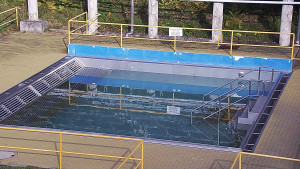 Koupaliště Rusava - Whirlpool koupaliště Rusava - 9.11.2023 v 11:00