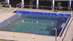 Koupaliště Rusava - Whirlpool koupaliště Rusava - 16.4.2025 v 09:00