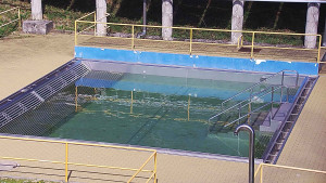 Koupaliště Rusava - Whirlpool koupaliště Rusava - 16.4.2025 v 13:00