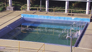 Koupaliště Rusava - Whirlpool koupaliště Rusava - 16.4.2025 v 18:00