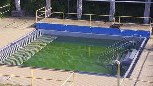 Koupaliště Rusava - Whirlpool koupaliště Rusava - 11.6.2025 v 08:00