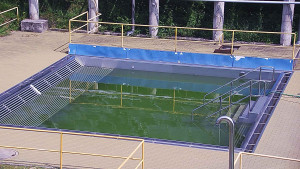 Koupaliště Rusava - Whirlpool koupaliště Rusava - 11.6.2025 v 11:00