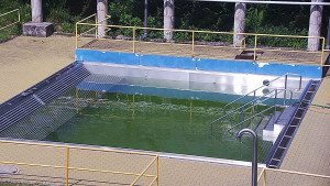 Koupaliště Rusava - Whirlpool koupaliště Rusava - 11.6.2025 v 14:00