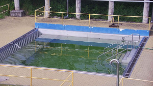 Koupaliště Rusava - Whirlpool koupaliště Rusava - 11.6.2025 v 15:00