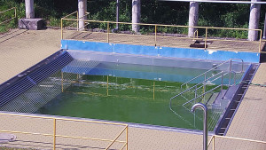 Koupaliště Rusava - Whirlpool koupaliště Rusava - 11.6.2025 v 16:00