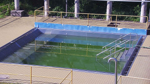 Koupaliště Rusava - Whirlpool koupaliště Rusava - 11.6.2025 v 17:00