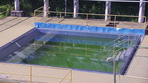 Koupaliště Rusava - Whirlpool koupaliště Rusava - 11.6.2025 v 18:00