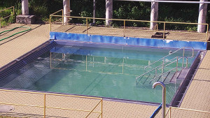 Koupaliště Rusava - Whirlpool koupaliště Rusava - 14.6.2025 v 17:55