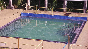 Koupaliště Rusava - Whirlpool koupaliště Rusava - 15.6.2025 v 10:05