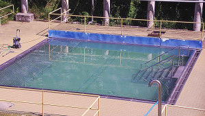 Koupaliště Rusava - Whirlpool koupaliště Rusava - 15.6.2025 v 10:45