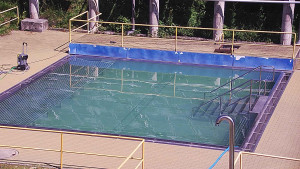 Koupaliště Rusava - Whirlpool koupaliště Rusava - 15.6.2025 v 11:00