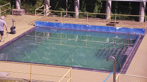 Koupaliště Rusava - Whirlpool koupaliště Rusava - 15.6.2025 v 11:05