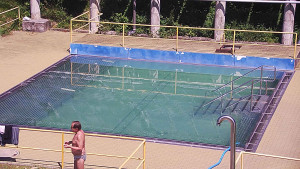 Koupaliště Rusava - Whirlpool koupaliště Rusava - 15.6.2025 v 12:15