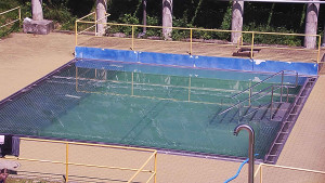 Koupaliště Rusava - Whirlpool koupaliště Rusava - 15.6.2025 v 12:20