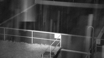 Snímek    14.9.2025 v 04:30