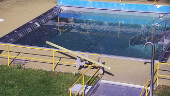 Snímek    29.10.2025 v 12:00