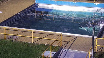 Snímek    29.10.2025 v 13:30