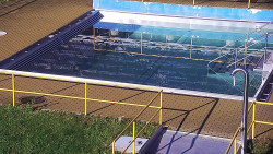 Whirlpool koupaliště Rusava