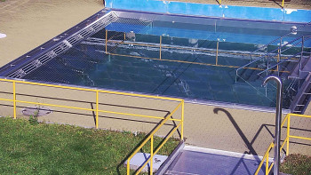 Snímek    31.10.2025 v 11:00