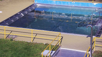 Snímek    1.11.2025 v 12:00