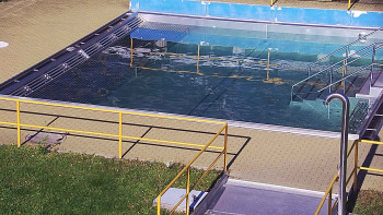 Snímek    1.11.2025 v 12:30