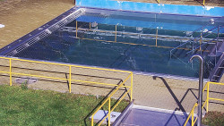 Whirlpool koupaliště Rusava