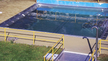 Snímek    4.11.2025 v 11:30