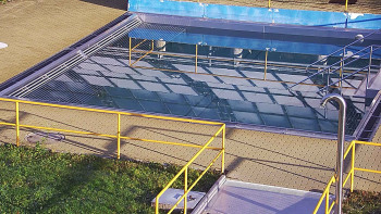 Snímek 5.11.2025 v 08:00