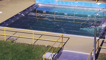 Snímek 5.11.2025 v 12:30