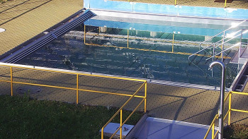 Snímek 7.11.2025 v 14:30