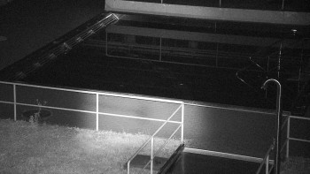 Snímek 9.11.2025 v 04:00