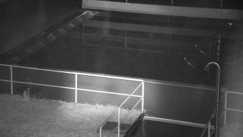 Snímek 17.11.2025 v 04:30