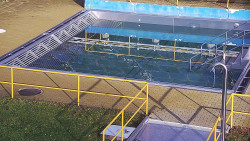 Whirlpool koupaliště Rusava