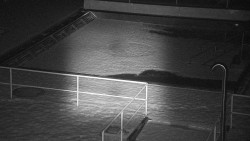 Whirlpool koupaliště Rusava