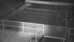 Whirlpool koupaliště Rusava