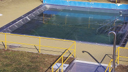 Whirlpool koupaliště Rusava