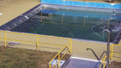 Whirlpool koupaliště Rusava