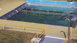 Whirlpool koupaliště Rusava