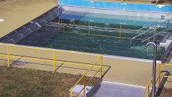 Whirlpool koupaliště Rusava