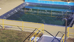 Whirlpool koupaliště Rusava