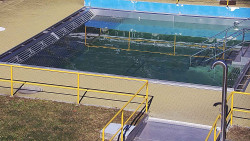 Whirlpool koupaliště Rusava