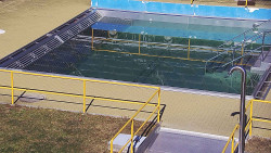 Whirlpool koupaliště Rusava