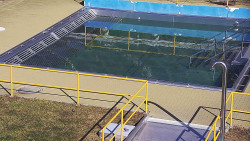 Whirlpool koupaliště Rusava