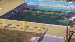 Whirlpool koupaliště Rusava